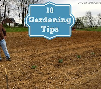 10 Gardening Tips #GroSomethingGreater thumbnail