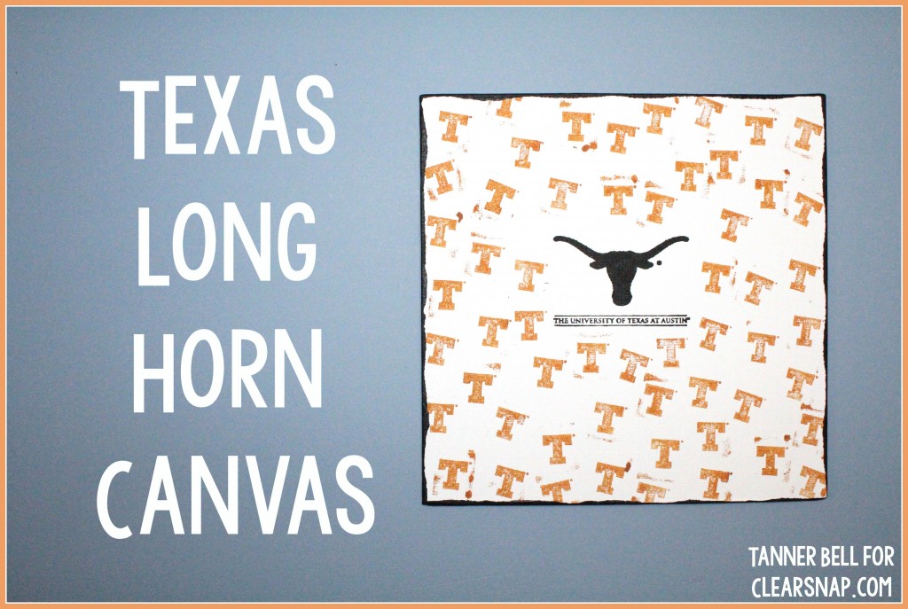 Texas_Long_Horn_Teen_Craft