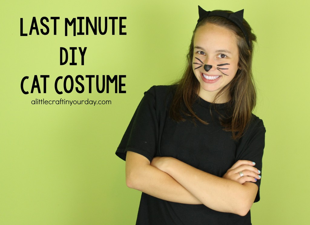 Last_Minute_DIY_Cat_Costume
