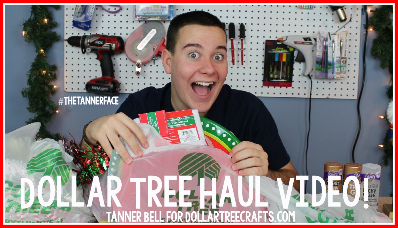 Dollar_Tree_Haul