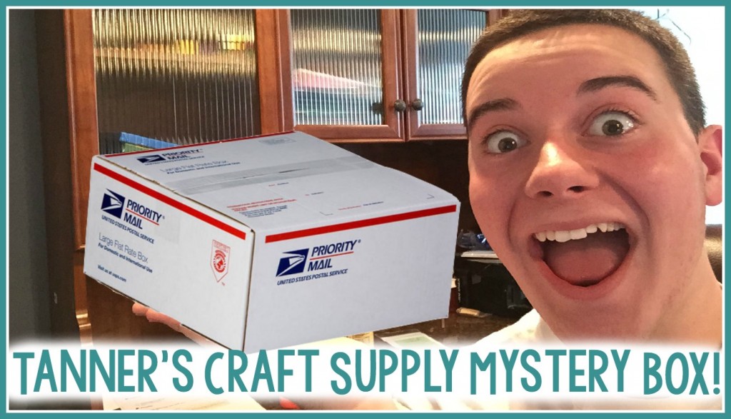 Tanner's Craft Supply Mystery BOX!