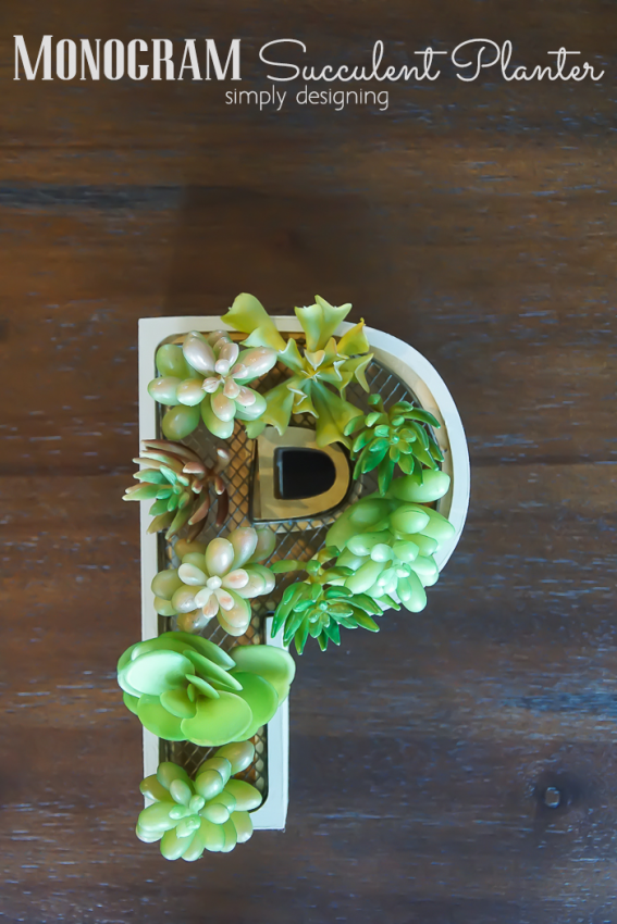Monogram-Succulent-Planter-this-is-such-a-fun-and-modern-decoration-and-it-is-so-simple-to-make