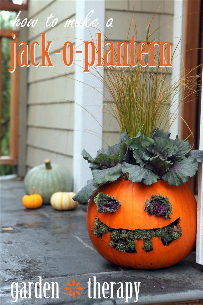 How-to-Make-Jack-o-Planterns-682x1024