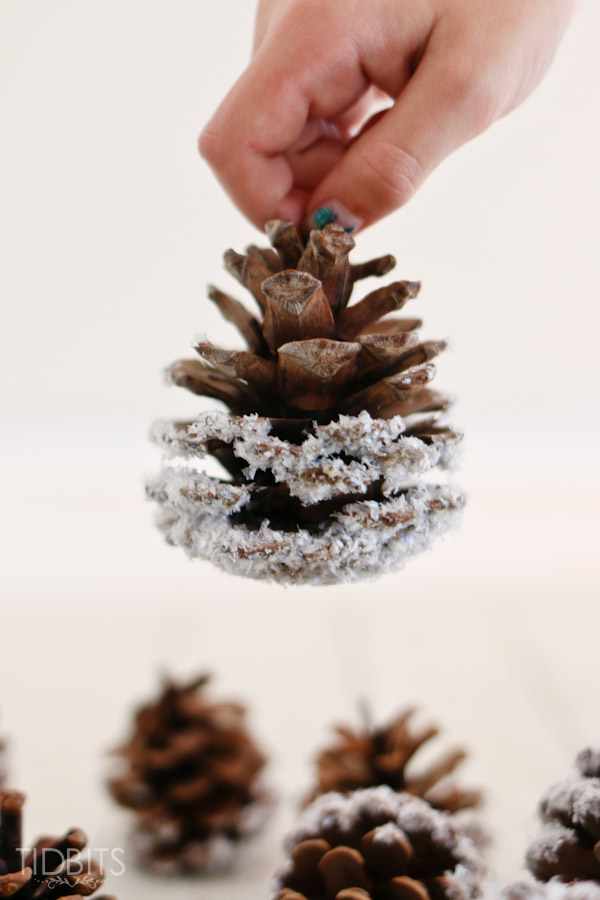 diy-snow-covered-pinecones-9