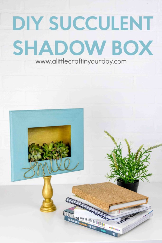 diy_succulent_shadow_box