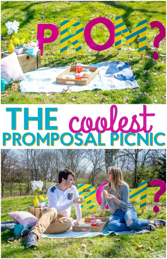 the_coolest_promposal_picnic