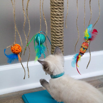 DIY Cat Scratching Post thumbnail
