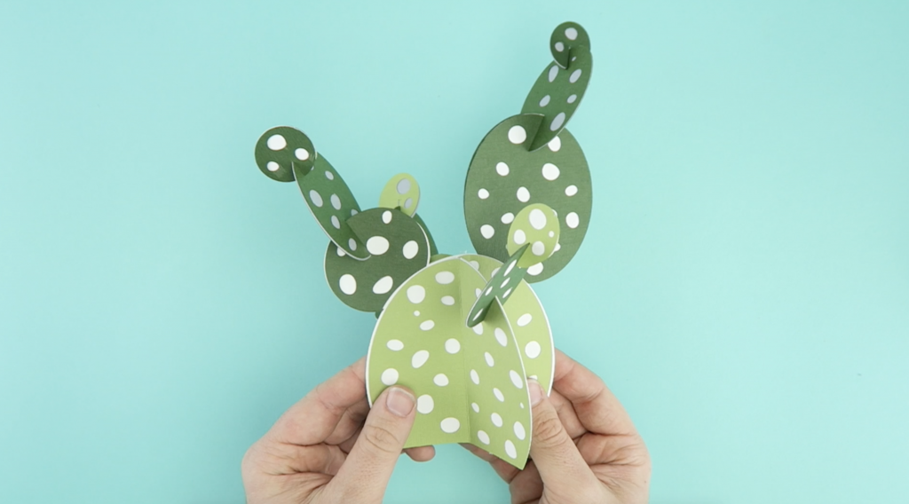 DIY Paper Cricut Project