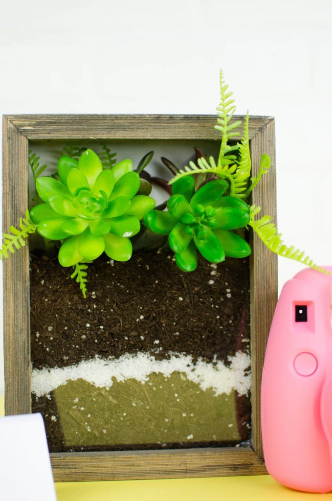 DIY Shadow Box Terrarium