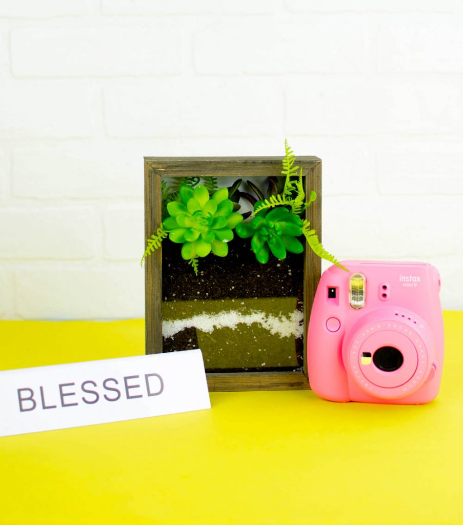 DIY Shadow Box Terrarium