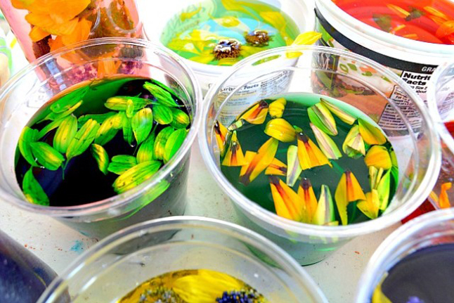 Flower Potions 