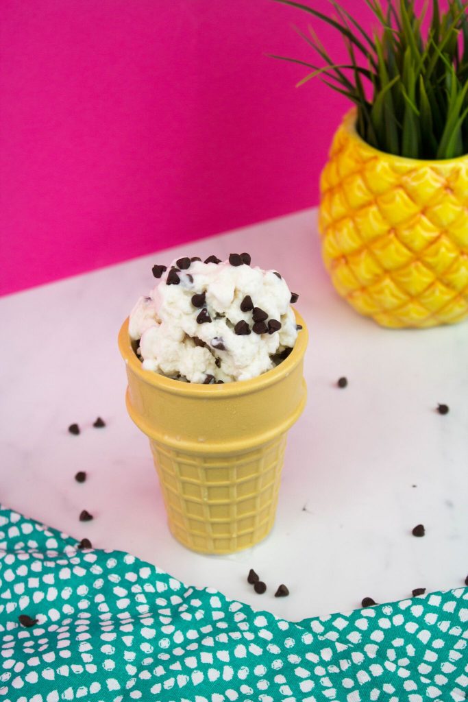 DIY Ice Cream In a Bag with chocolate chips America’s favorite frozen treat 