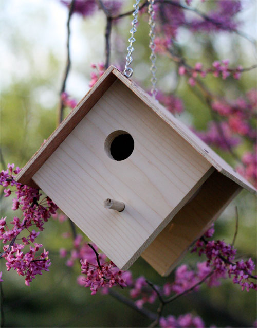  DIY Birdhouse