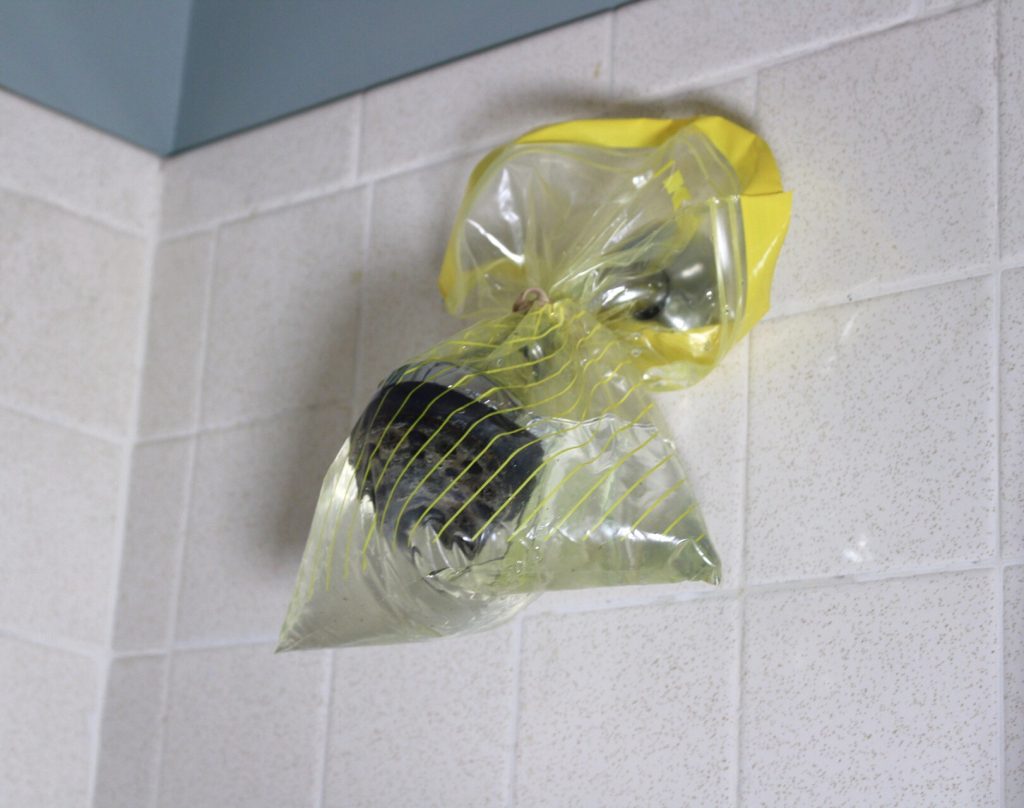 Vinegar Removes Build Up From Shower Head 