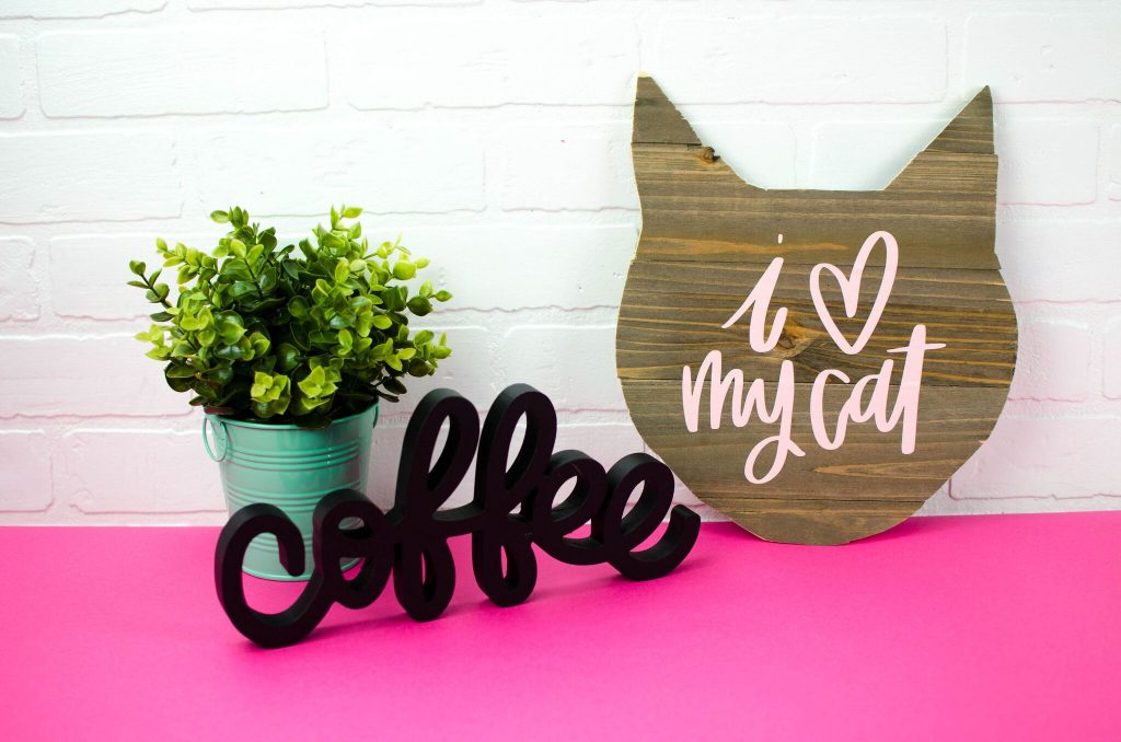 Cat Lovers Home Decor