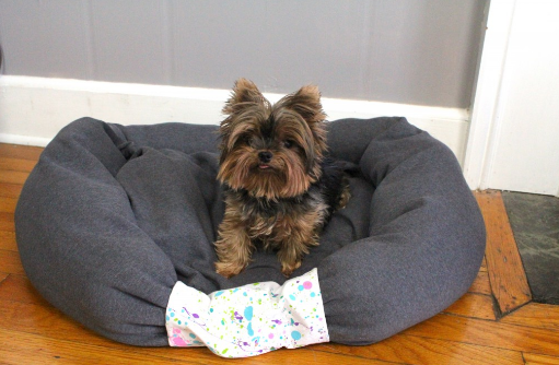 diy dog bed you can make from an old shirt