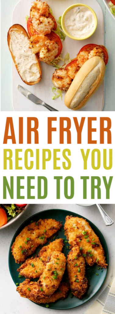 Air Fryer Recipes You Need To Try roundup