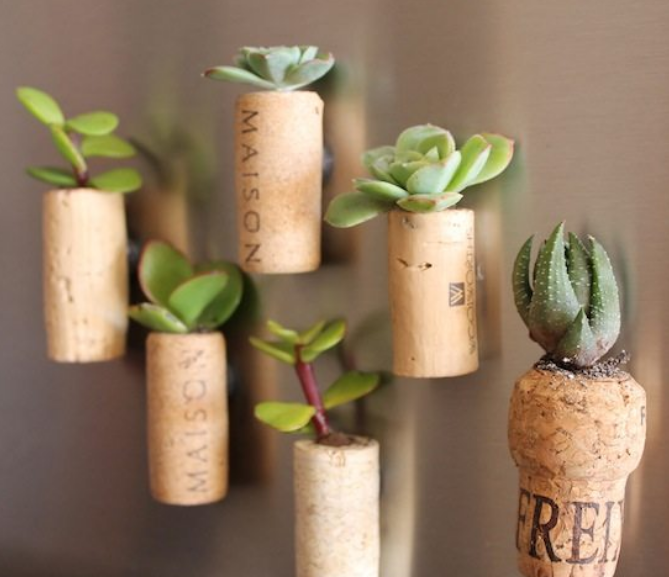 easy to make cork planter perfect fridge magnet 