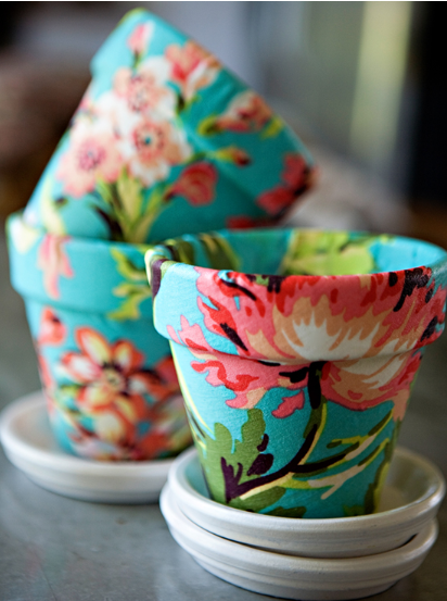 A beautiful and colorful flower pots