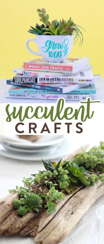 Succulent Craft Projects to Make Today roundup