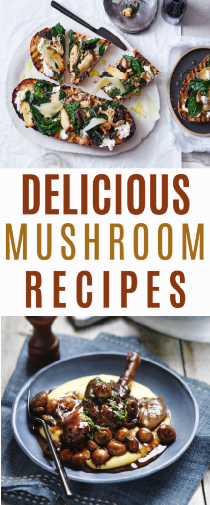 Delicious Mushroom Recipes roundup