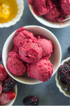 sugar-free berry frozen yogurt
