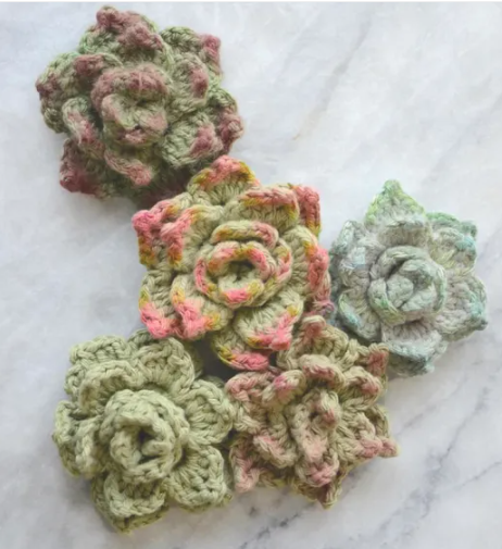 Crochet Succulents Free Pattern For Spring
