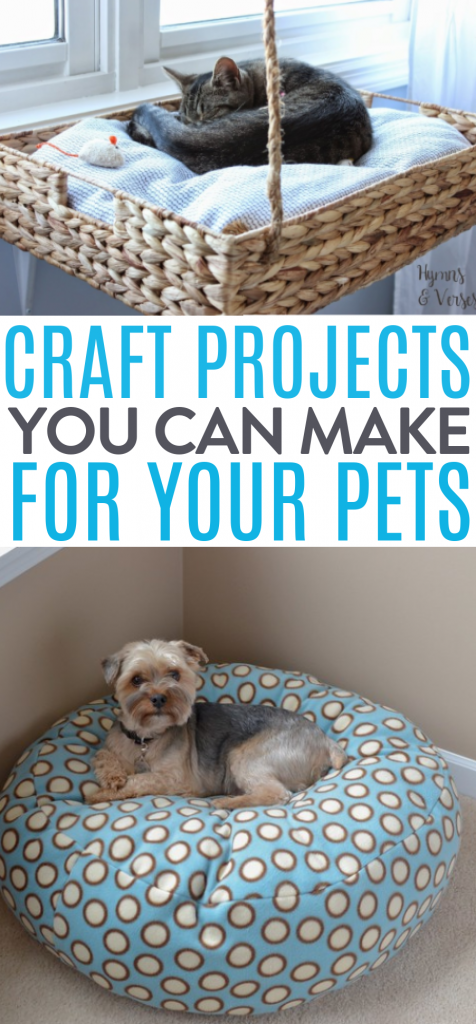 Craft Projects You Can Make For Your Pets roundups