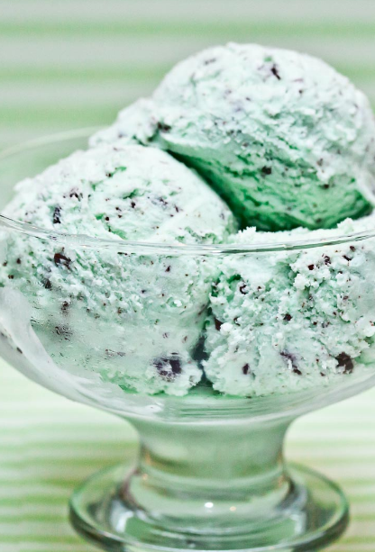 Homemade Mint Chocolate Chip Ice Cream with 5 basic ingredients delicious dessert