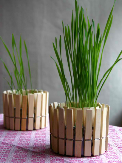 Clothespin Planter simple craft perfect for gifts