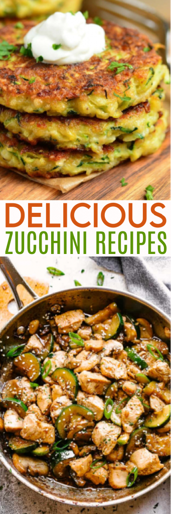 delicious zucchini recipes roundup
