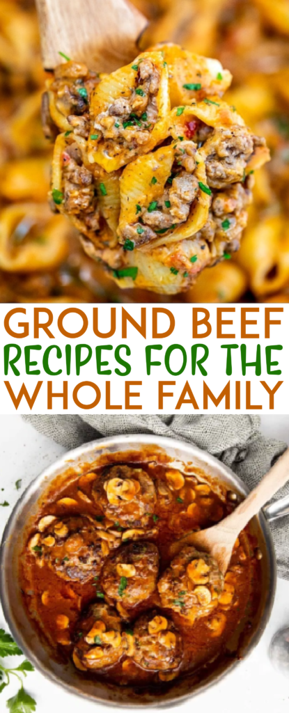 Ground Beef Recipes for the Whole Family Roundups