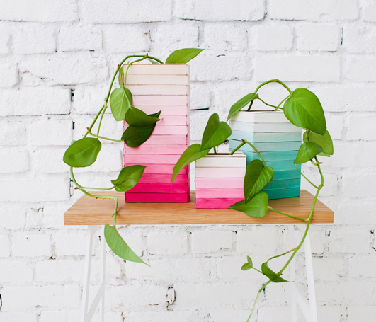 A trendy and colorful ombre popsicle stick planter or vase 