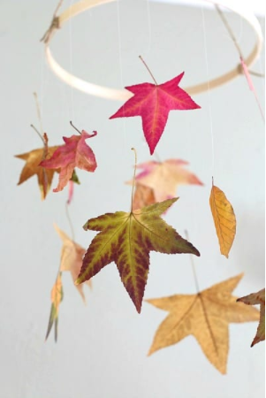 Preserve leaves mobile