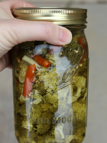 easy and healthy spicy pepper pickled broccoli florets 