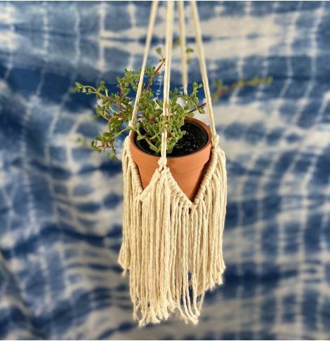 Easy homemade macrame plant hanger porch and home decor