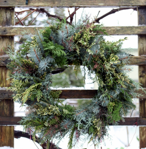 Make a fresh foraged wreath holiday decor experienced nature 