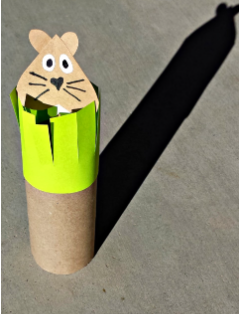 groundhog made from paper and toilet paper roll
