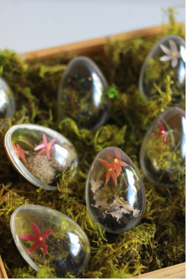Clear Easter egg with a fake terrariums inside