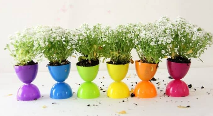 Flower pots made from plastic Easter egg with white flowers coming out of the pots