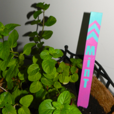 Garden Craft Projects thumbnail