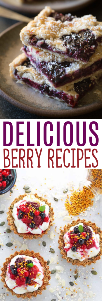 Delicious Berry Recipes Roundups