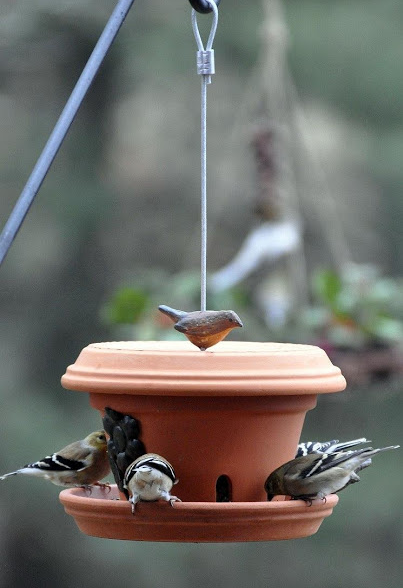 DIY Garden Flowerpot Bird-Feeder 