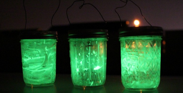 Glow in the dark jars that is perfect for a family camping