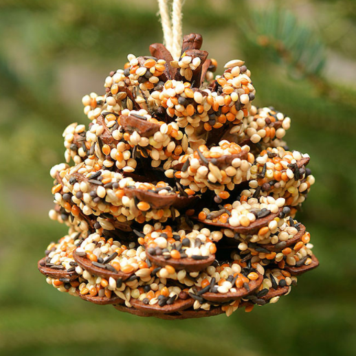 Easy to make Pinecone Bird Feeders for the backyard