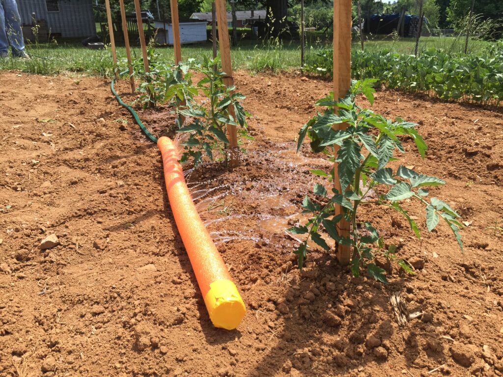DIY pool noodle for watering plants