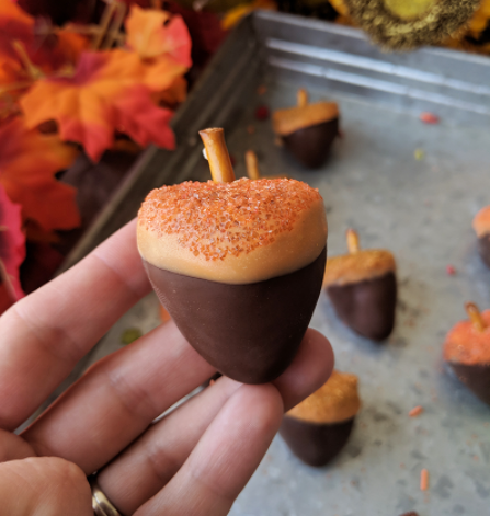 Chocolate covered strawberry acorns