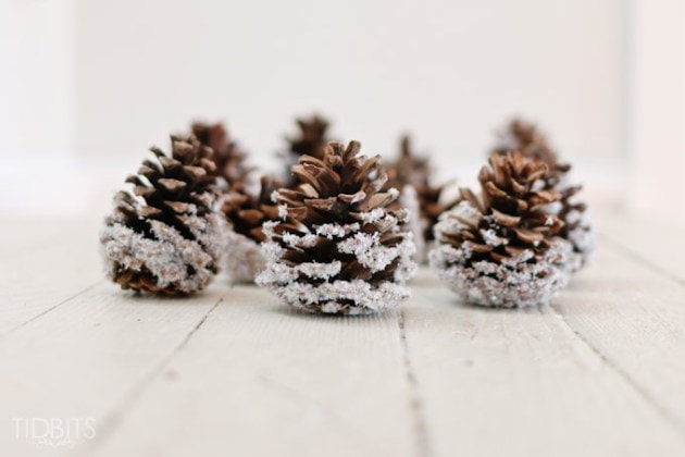 diy pine cones covered with snow