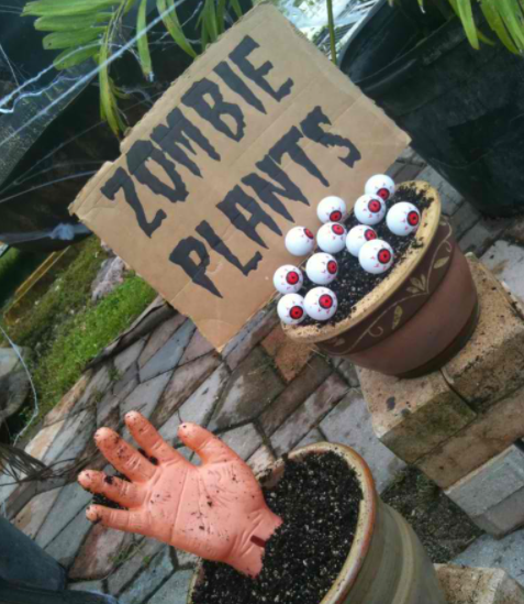 DIY Zombie Halloween Plants Decoration