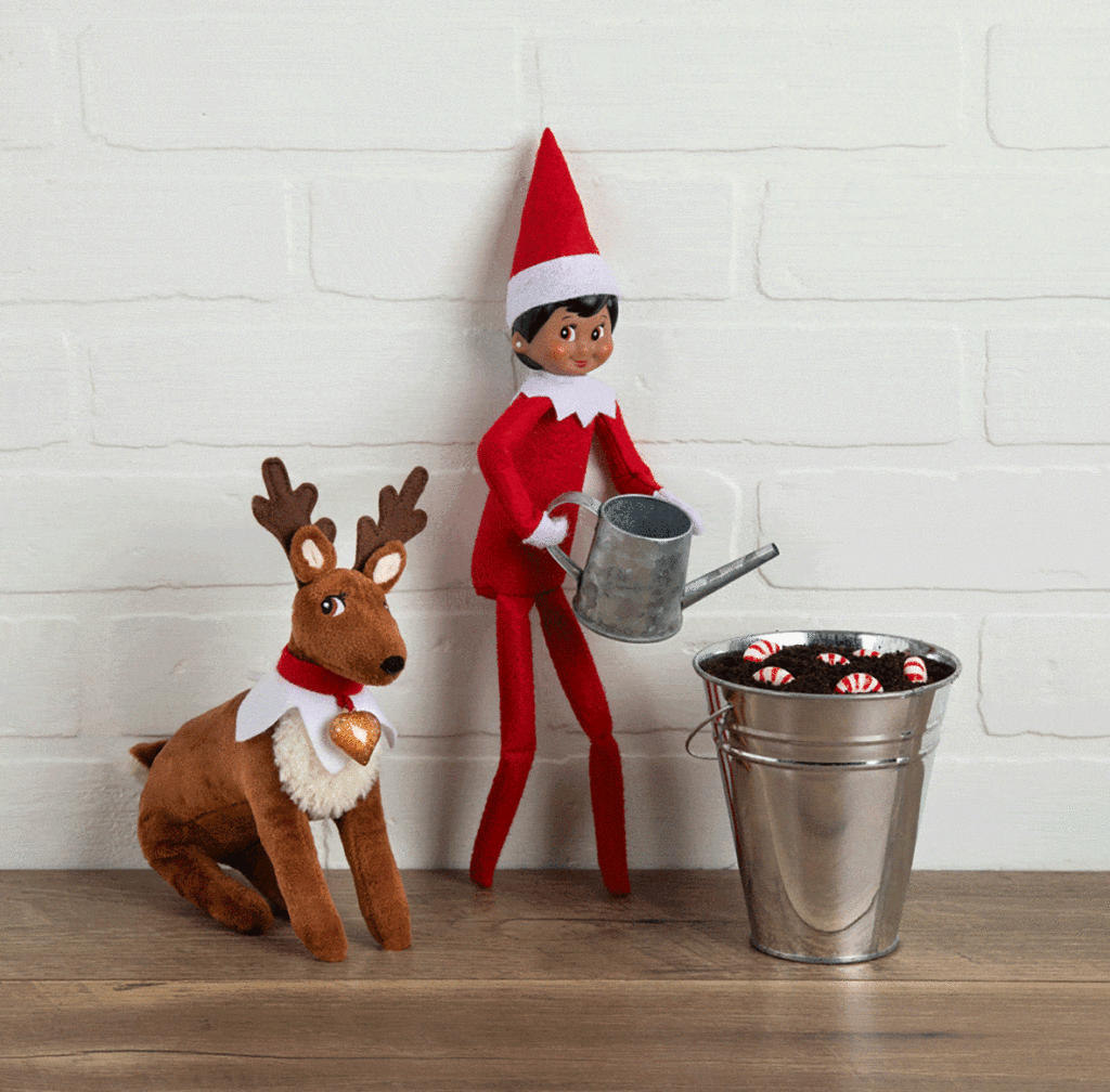 elf on the shelf watering the candy cane garden with his pet raindeer